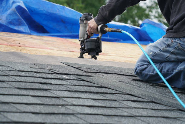 Best Storm Damage Roof Repair  in East Prairie, MO