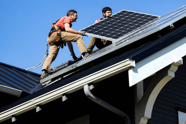 Best Roof Moss and Algae Removal  in East Prairie, MO