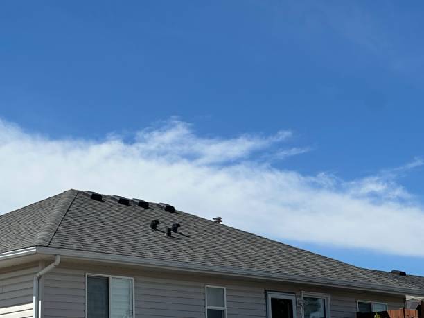 Best Chimney Flashing Repair  in East Prairie, MO